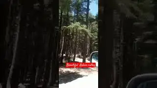 Ushoo forest Kalam valley.youtubeshorts@littletomcruisesanan