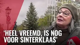 Staat deze kerstboom er te vroeg?