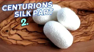 The history of Silk part 2
