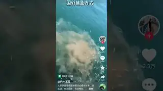 Use HUGE bomb to blow MANY fish out