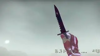Counter strike  Global Offensive  skin show