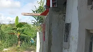 LINIA Marqué está en vivo