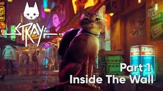 Stray. Part 1 Inside The Wall. Walkthrough. Gameplay. PC Ultra. Full Game