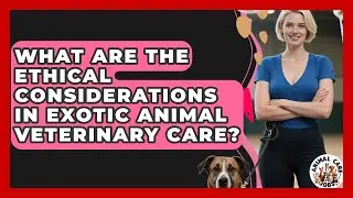 What Are The Ethical Considerations In Exotic Animal Veterinary Care? - Animal Care Jobs