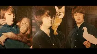 The Beach Boys - Child is Father of the Man (Purple Chick re-edit)