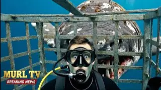 The cage that couldn&rsquo;t save him - deep dive gone wrong #sharkattack