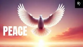 The Journey to Peace: Understanding the Dynamics and How to Achieve It