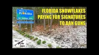 Florida Snowflakes Paying For Signatures To BAN Guns
