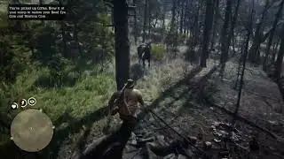 4K Red Dead Redemption 2 Perfect cougar easy
