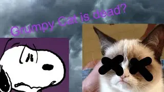 Grumpy Cat is dead?