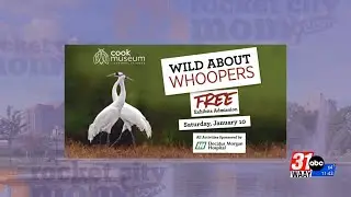 Rocket City Mom previews a weekend of family-friendly fun