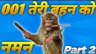 monkey तेरी बहन को नमन  funny |Dub केंद्र | RJ KISNA | dub kendra krishna | kisna red| 001