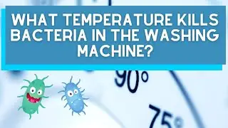What Temperature Kills Bacteria In The Washing Machine?
