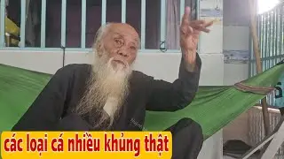 Tổng Hợp Thầy Rắn Ông Tư Đền Kể Chuyện Bắt Cá Biển Cá Đồng Và Cua Ốc Rất Hây 