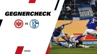 Angriffsproblem bei K&ouml;nigsblau I Gegnercheck Eintracht Frankfurt - Schalke 04