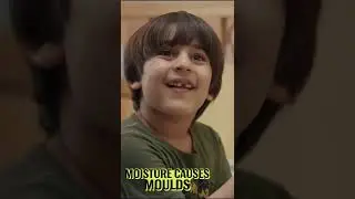 Malti's Bedroom - Absorbia Moisture Absorber (Hindi Dub) #shorts