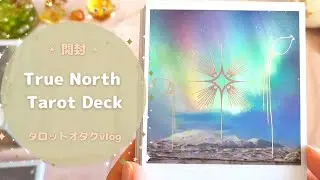✴️開封✴️True North Tarot Deck🃏タロットオタクvlog