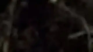 Appalachian Cryptid Encounters, juvenile Sasquatch trying to get close to my dogs to play with them