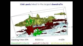 Hurricane Aerosol and Microphysics Program (HAMP) part 2 - Cloud Seeding