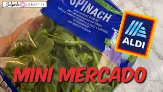 Mini Compra del super, ALDI HAUL I Lorentix