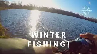 Cook County Forest Preserve Fishing!