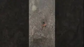Dead Souls (5.14a) - American Fork, UT