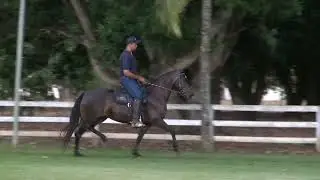 04 UVAIA DO MALBORO