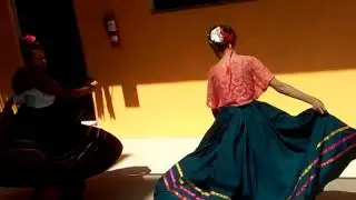 Pajaros daylando