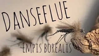 Danseflue Empis Borealis Dry Fly