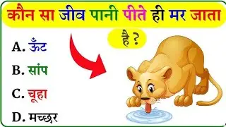 GK Question | GK In Hindi | GK Question and Answer | GK Quiz | Full GK in Hindi ।। 