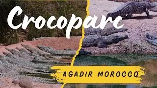 Crocoparc Agadir Morocco