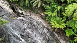 Tarra Valley, Tarra Falls, Victoria