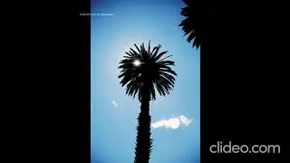 Dasher - Live on Liberation EP [2007]