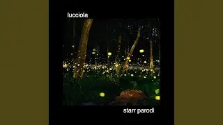 Lucciola