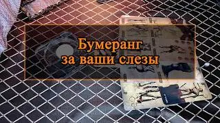 Бумеранг за ваши слезы.