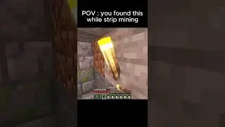 POV : you found this while strip mining 💀 #minecraft #minecraftmemes #minecraftclips