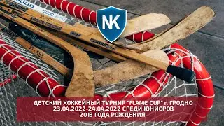 Детский хоккейный турнир 