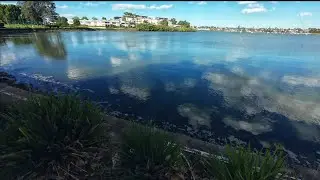 Какая рыба водится в Кабарите || Рыбалка на реке Парраматта