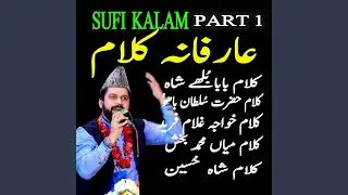 Aa meda dhola karan bethi zari