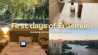 VLOG | Day trip to Sirmione and moving to Spain for my Erasmus 