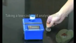 You Can Perform The Scotch Tape Mold Trial Also Named Lift Tape Sampling
