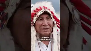 Indigenous tribes celebrate birth of rare white buffalo in Yellowstone