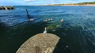 New York travel vlog/Longisland/Gosmans Montauk (SEP 29,WED)