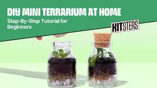 Super Easy DIY Mini Terrarium Tutorial | Indoor Garden Decor Ideas | Kitsters Mini Terrarium Kit