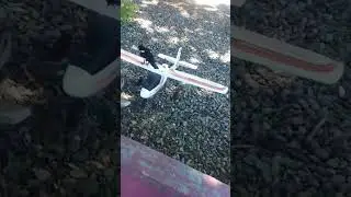 The Infamous Dick Bird