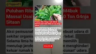 Waduh mabok G4nja geratis ini!! #viralvideo #trending #youtubeshorts #news #shortsfeed #shorts #fyp