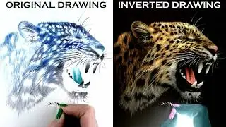 Inverted Colored Pencil Drawing of a Hissing Leopard - Time-Lapse | Jasmina Susak