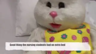 The Easter Bunny Visits SCC 2017