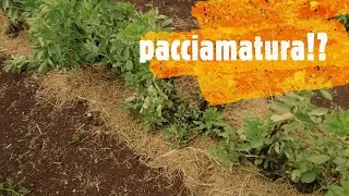 PACCIAMATURA- cos'è e come si fa
