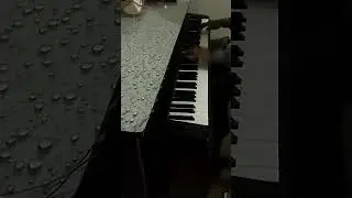 Jingle Bell in Funky mood first time in Pakistan i m making  jingle bell remaking on 88 keys cover